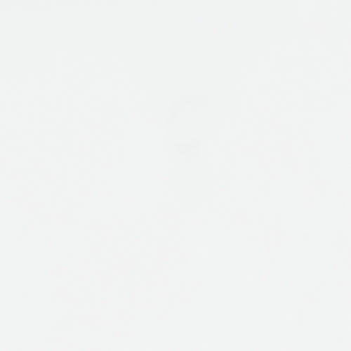 Bostwick Shoals Bedroom