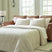 Sam's Furniture - Ashley Furniture - Carianna Living Room - Queen Sofa Sleeper / Caramel - 5760439