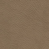 Veronella Sectional