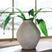 Sam's Furniture - Ashley Furniture - Hannela Vase - Vase / Antique Tan - A2000513