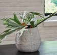 Sam's Furniture - Ashley Furniture - Claymount Vase - Vase / Distressed Brown - A2000636