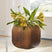 Sam's Furniture - Ashley Furniture - Capard Vase - I/O Vase - A2900003
