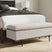 Sam's Furniture - Ashley Furniture - Dettaford Next-Gen Nuvella Storage Bench - Storage Bench - A3000848