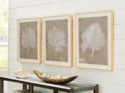 Sam's Furniture - Ashley Furniture - Hendridge Wall Decor - Wall Art Set (3/CN) / Taupe/White - A8000486