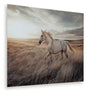 Sam's Furniture - Ashley Furniture - Errolville Wall Decor - Wall Art / Multi - A8000489