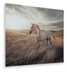 Sam's Furniture - Ashley Furniture - Errolville Wall Decor - Wall Art / Multi - A8000489