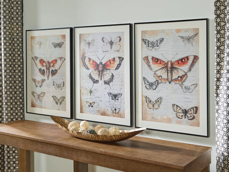 Sam's Furniture - Ashley Furniture - Jossletts Wall Decor - Wall Art Set (3/CN) / Orange/Black/Ivory - A8000490