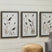 Sam's Furniture - Ashley Furniture - Honslow Wall Decor - Wall Art Set (3/CN) / Brown/Black/White - A8000506