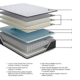 Anniversary Edition Plush Mattresses