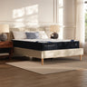 Sam's Furniture - Ashley Furniture - Dreamcloud Classic Memory Foam Mattresses - Queen - M12031