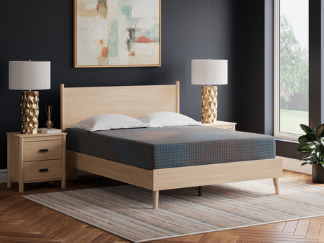 Sam's Furniture - Ashley Furniture - 13 Inch Hybrid Hot Buy Mattresses - Queen / Multi - M20731