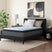 Sam's Furniture - Ashley Furniture - Destin Cove PT Mattresses - California King - M33251