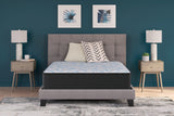 Sam's Furniture - Ashley Furniture - Elite Springs Firm Mattresses - Full / Gray/Blue - M40521