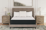 Sam's Furniture - Ashley Furniture - Limited Edition Plush Mattresses - California King / White - M41151