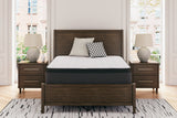 Sam's Furniture - Ashley Furniture - Limited Edition PT Mattresses - King / White - M41241