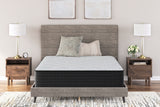 Sam's Furniture - Ashley Furniture - Palisades Plush Mattresses - Twin / Gray/Blue - M41611