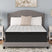 Sam's Furniture - Ashley Furniture - Palisades ET Mattresses - King / Gray/Blue - M41741