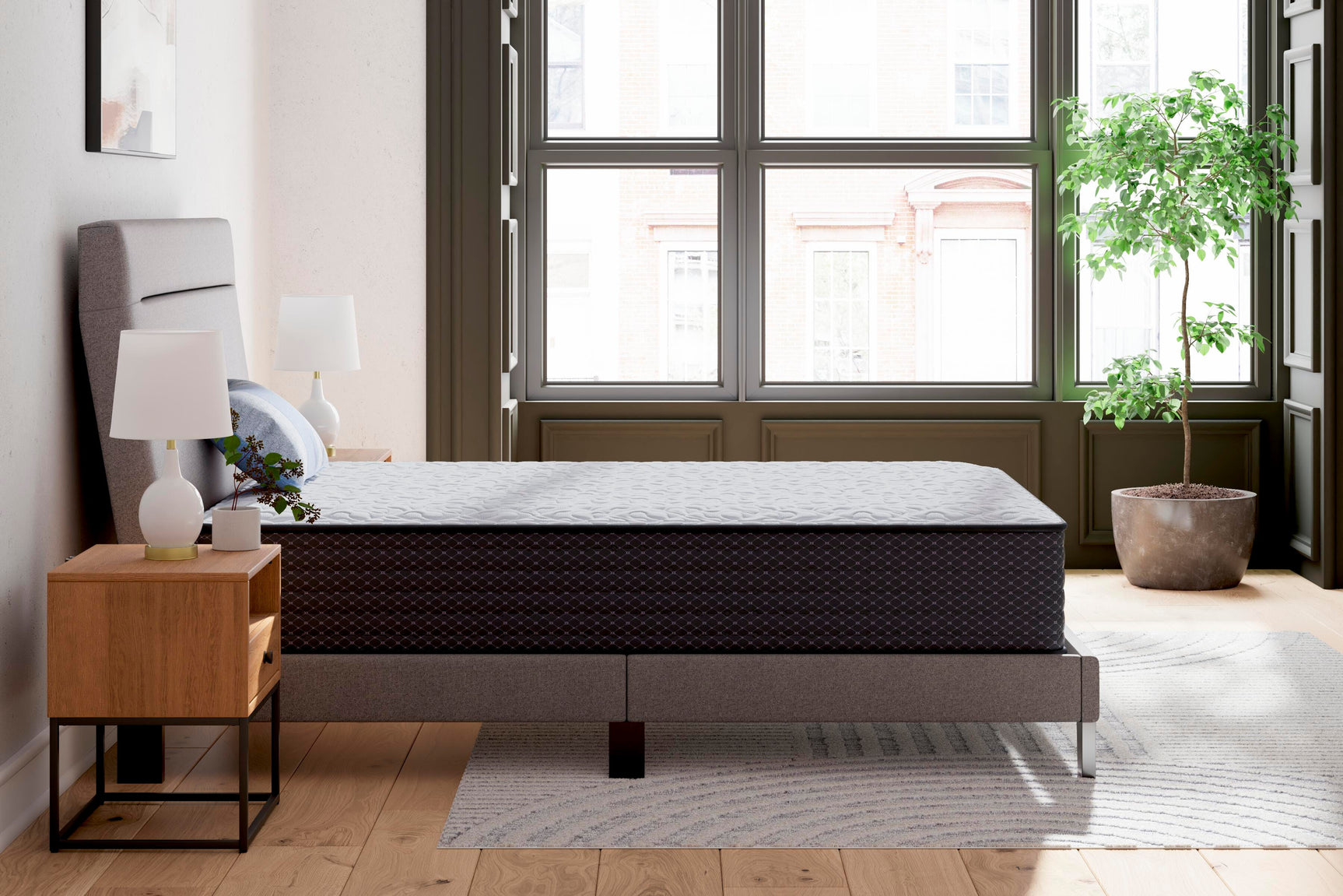 Anniversary Edition Firm Mattresses
