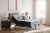 Anniversary Edition Plush Mattresses