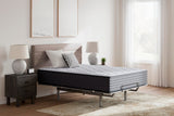 Anniversary Edition Plush Mattresses