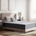 Sam's Furniture - Ashley Furniture - Anniversary Edition Plush Mattresses - California King - M42151