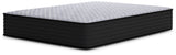 Anniversary Edition Plush Mattresses