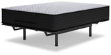 Anniversary Edition Plush Mattresses