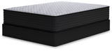 Anniversary Edition Plush Mattresses