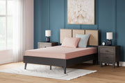 Sam's Furniture - Ashley Furniture - iKidz Coral Mattresses - Twin and Pillow 2/CN / Coral - M43111