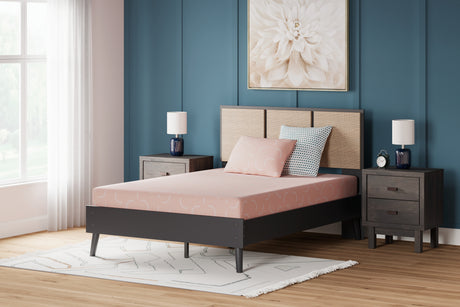 Sam's Furniture - Ashley Furniture - iKidz Coral Mattresses - Twin and Pillow 2/CN / Coral - M43111