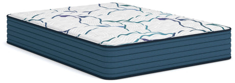 Sam's Furniture - Ashley Furniture - Limited Edition Firm 3.0 Mattresses - Queen - M45031