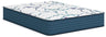 Sam's Furniture - Ashley Furniture - Limited Edition Firm 3.0 Mattresses - Queen - M45031