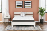 Sam's Furniture - Ashley Furniture - 8 Inch Bonnell Hybrid Mattresses - Twin / White - M58711