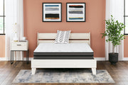Sam's Furniture - Ashley Furniture - 10 Inch Pocketed Hybrid Mattresses - Full / White - M58921
