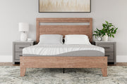 Sam's Furniture - Ashley Furniture - 8 Inch Memory Foam Mattresses - Queen / White - M59131