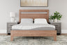 Sam's Furniture - Ashley Furniture - 8 Inch Memory Foam Mattresses - California King / White - M59151