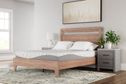 Sam's Furniture - Ashley Furniture - 10 Inch Memory Foam Mattresses - King / White - M59241