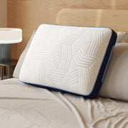 Sam's Furniture - Ashley Furniture - Nectar Ultra Pillow (Set of 4) - Pillow (4/CS) - M88807